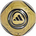 Mяч футбольный сувенирный Adidas Messi IX4071 р.1 120_120